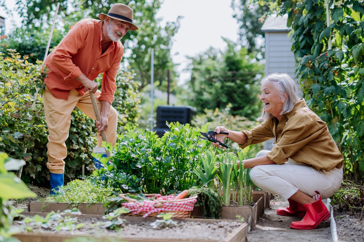 two elderly individuals engaging in the benefits of gardening for seniors